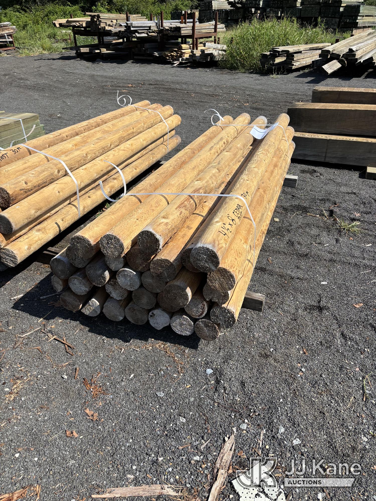 30 Cedar Posts