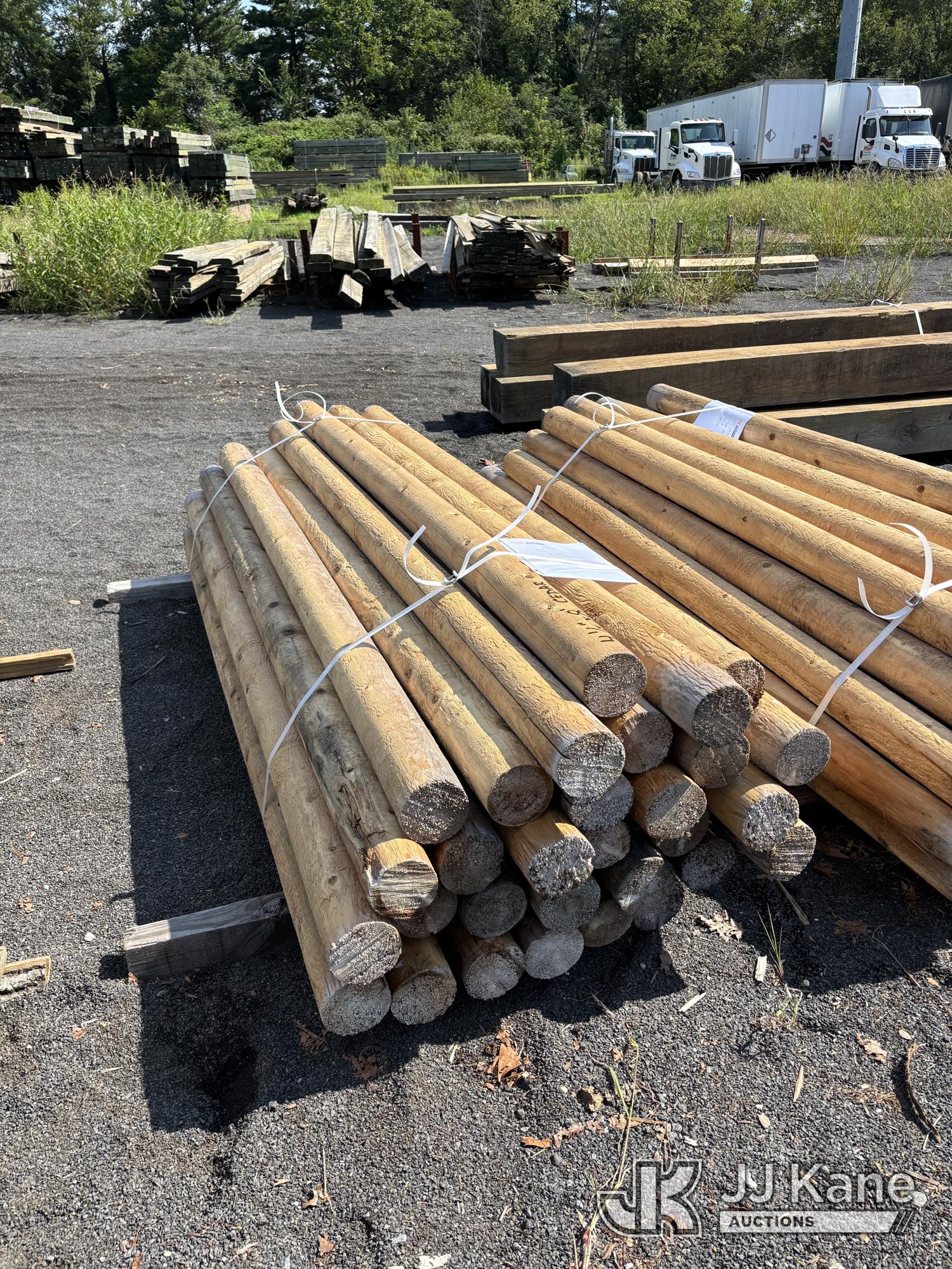 30 Cedar Posts